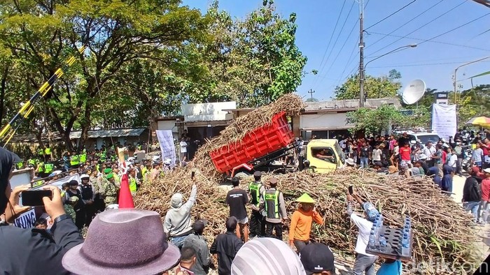 Petani tebu di Blora membuang hasil panen di depan PG Gendhis Manis sebagai bentuk protes atas tebu yang tak terserap, Senin (1/6/2026).