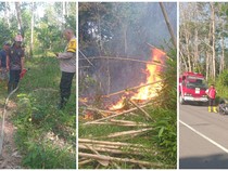 Damkar Lubuklinggau Ingatkan Karhutla Sasar Semak Belukar Pinggir Jalan