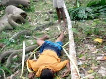 Pria di Kupang Meninggal Sehari Setelah Jatuh dari Pohon Pinang