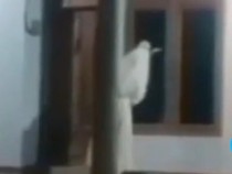 Viral Penampakan Pocong Bawa Celurit Hantui Warga Bangkalan