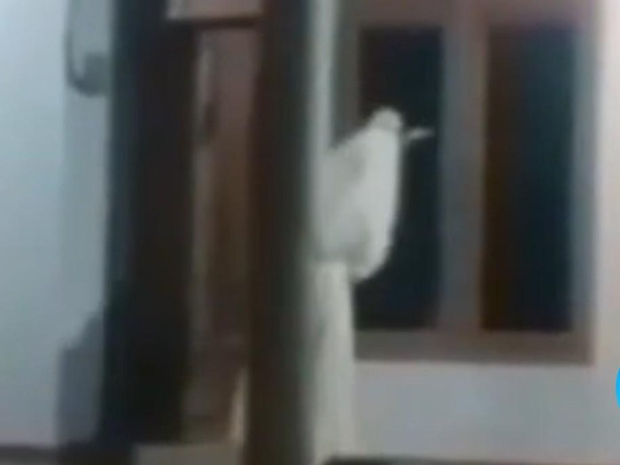 Tangkapan layar penampakan pocong di Bangkalan