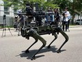 Robot Anjing Tempur Perkuat Pertahanan Masa Depan Taiwan