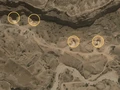 Rahasia Iran Masih Punya Banyak Rudal Meski Dibombardir AS