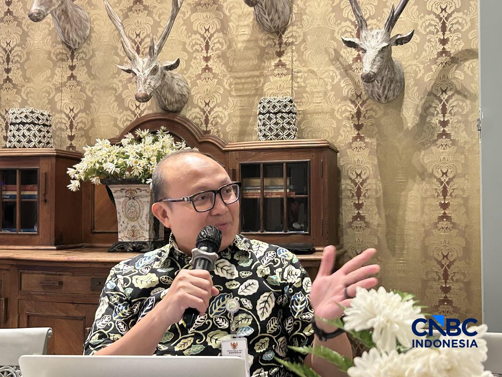 Direktur Lingkungan Hidup Kementerian PPN/Bappenas, Nizhar Mariz. (CNBC Indonesia/Elga Nurmutia)