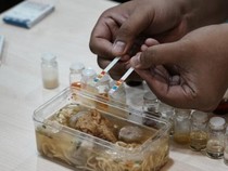 Inovatif, Peneliti ITS Ciptakan Alat Deteksi Kandungan Minyak Babi dalam Makanan