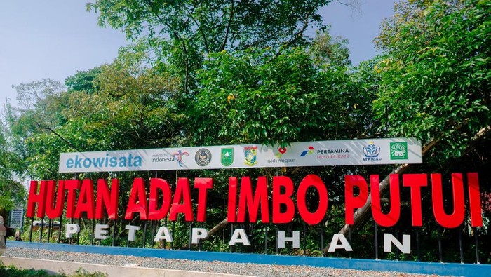Hutan Adat Imbo Putui kini hadir menjadi destinasi wisata alam pilihan berbasis konservasi unggulan di Provinsi Riau (dok Ist)