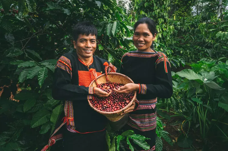Wisata Kuliner ke Vietnam? Jangan Lewatkan 5 Kota Kopi Favorit Ini