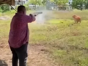 Viral Pejabat Tembak Sapi Kurban, Polisi Turun Tangan