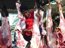 Ditemukan Cacing Pita pada Daging Kurban di 20 Lokasi Surabaya