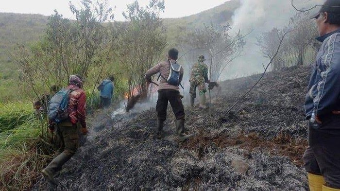 Penanganan kebakaran di Gunung Arjuno.