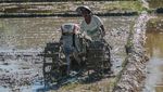 Petani Kendari Mulai Garap Kembali Sawah Pascabanjir