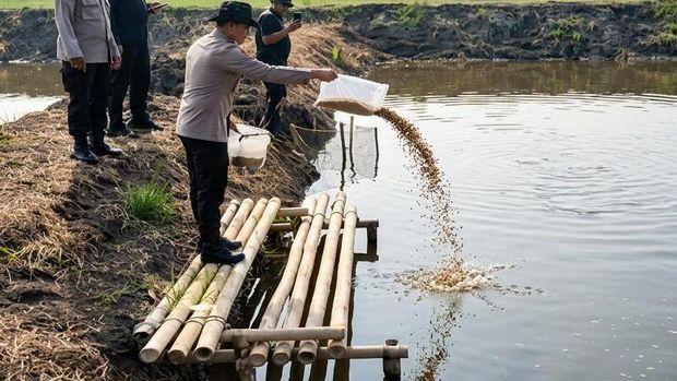 Polda Metro Jaya menebark ribuan bibit udang dan bandeng di tambak Muaragembong, Bekasi.