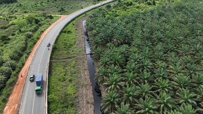 Potret udara perkebunan sawit di salah satu daerah di Kalbar