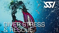 Prilly memperlihatkan dua lisensi menyelam yang dimilikinya. Ini adalah lisensi Diver Stress and Rescue. Foto: Instagram @prillylatuconsina96