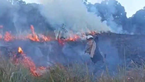 Upaya pemadaman kebakaran hutan di kawasan wisata non pendakian Savana Propok TNGR, Lombok  Timur, NTB, Selasa (2/6/2026). (Dok. Tangkapan layar Instagram TNGR)