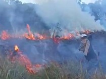 TN Gunung Rinjani Terbakar, Petugas Kewalahan Padamkan Api