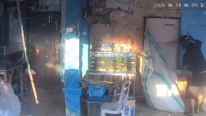 Viral Maling Burung di Kotim