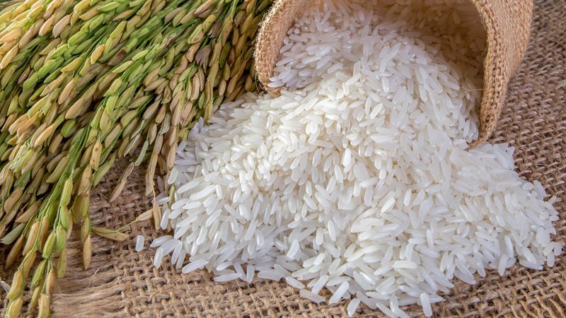 Dari Jasmine Rice sampai Basmati, Ini 5 Jenis Beras Terenak di Dunia