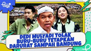 Video: Dedi Mulyadi Tolak Buru-buru Tetapkan Darurat Sampah Bandung