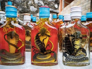 5 Hidangan Ular Paling Ekstrem di Asia, Ada Sup hingga Darah Ular