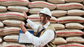 Bulog Serap 3,5 Juta Ton Beras Petani, 87% dari Target