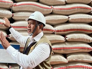 Bulog Serap 3,5 Juta Ton Beras Petani, 87% dari Target