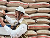 BULOG Serap Gabah dan Beras Petani 3 Juta Ton