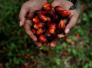 Limbah Sawit Disulap Jadi Biometana, Energi Bersih buat Industri