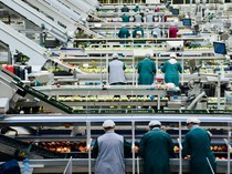 PMI Manufaktur Naik, Menperin Ungkap Industri Perkuat Stok Bahan Baku