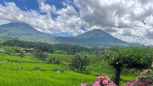 Wisatawan Asia dan domestik mulai dominasi DTW Jatiluwih pasca konflik di Timur Tengah pecah. /Istimewa