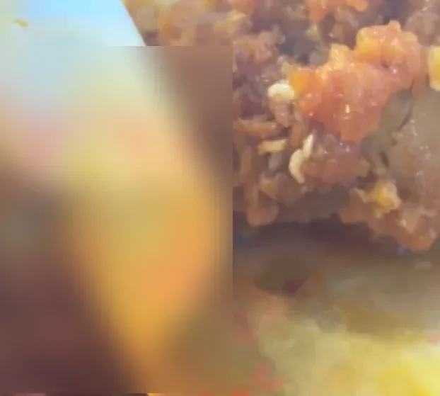 Jijik! Ayam Goreng yang Dibeli di Bandara Diduga Berisi Belatung Mati