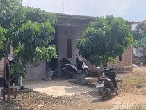 Psikolog UMY Duga Ibu di Bantul Ikat-Tinggalkan Anak di Rumah Dipicu Tekanan