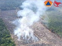 Wilayah Karhutla di Muba yang Terbakar 2 Hari Berhasil Dipadamkan