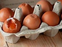 Masih Nekat Makan Telur Retak? Ini Risiko yang Perlu Diwaspadai