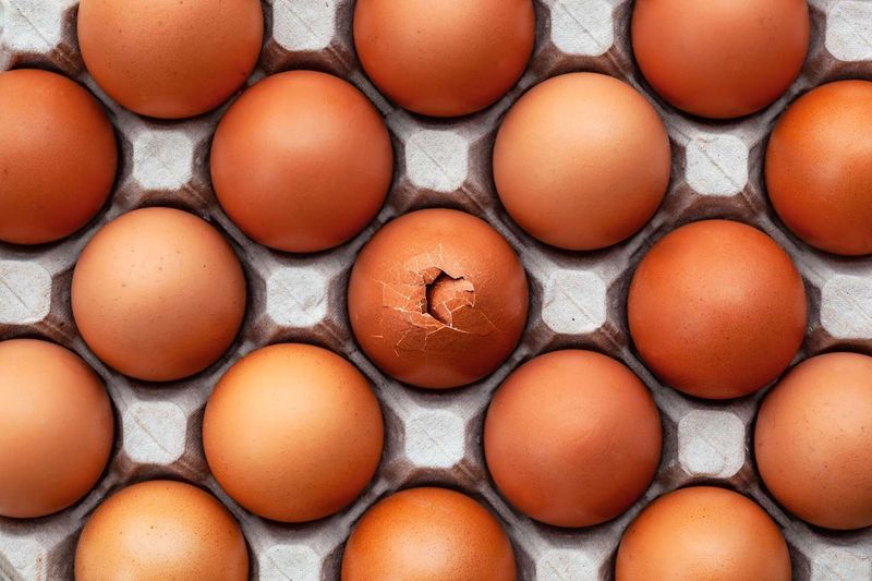 Masih Nekat Makan Telur Retak? Ini Risiko yang Perlu Diwaspadai