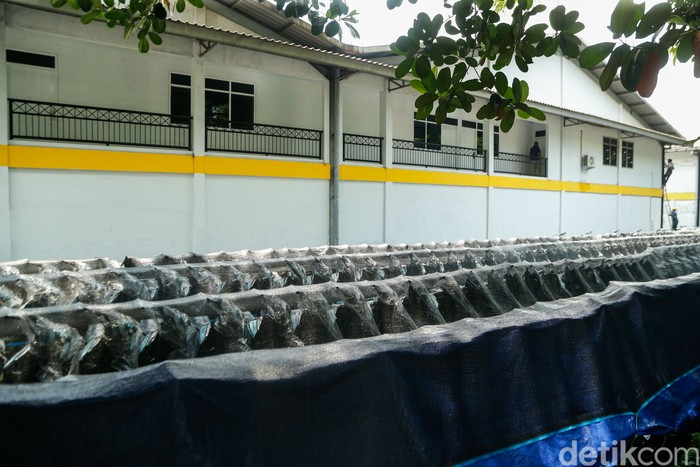 Ribuan kendaraan listrik yang diduga untuk operasional program Makan Bergizi Gratis (MBG) terparkir di salah satu pabrik kawasan Citereup, Kabupaten Bogor, Kamis (16/4/2026).