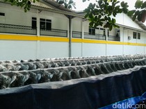 21 Ribu Motor Listrik MBG Sudah Dibayar, Akan Dimanfaatkan Secara Maksimal