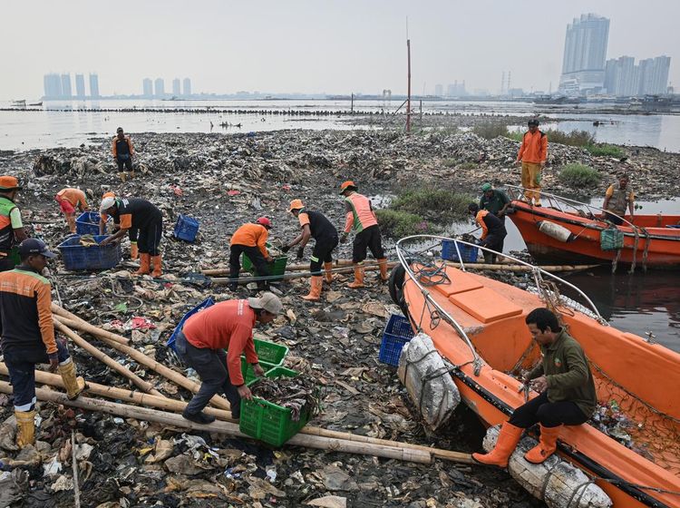 Petugas Bersihkan Hamparan Sampah di Perairan Jakarta