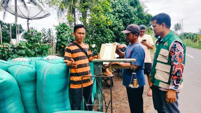 Petani di Sumsel Babel menimbang beras hasil produksinya untuk dijual ke Bulog