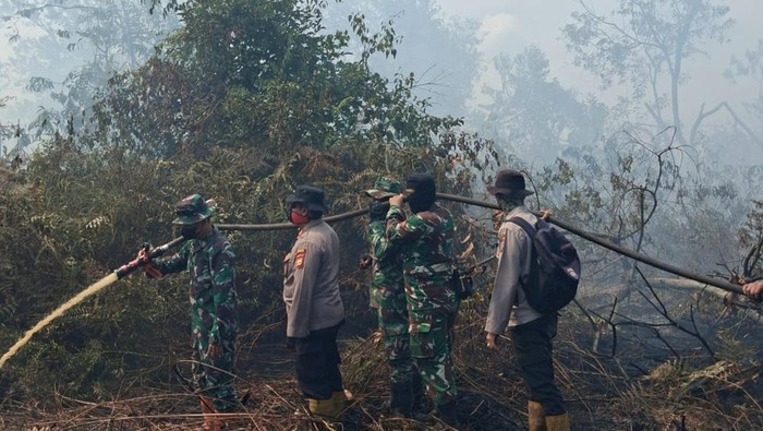 Petugas gabungan Polri hingga TNI berjibaku memadamkan kebakaran lahan seluas 3,5 hektare di Rupat, Kabupaten Bengkalis, Rabu (3/6/2026).
