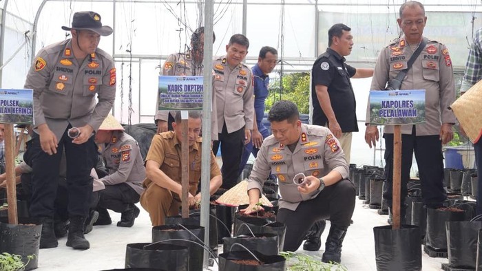 Polres Pelalawan mendukung inovasi Polsek Pangkalan Kerinci yang mengembangkan green house smart farming untuk budidaya melon, Selasa (2/6/2026).