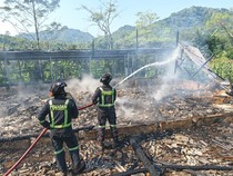 Kandang Ayam Terbakar, 6.500 Ayam Petelur di Kuningan Hangus Terpanggang