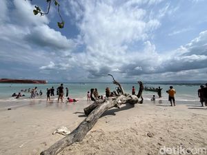Wisata Pangandaran Saat Libur Sekolah: 64 Anak Terpisah, 2 Digigit Kera