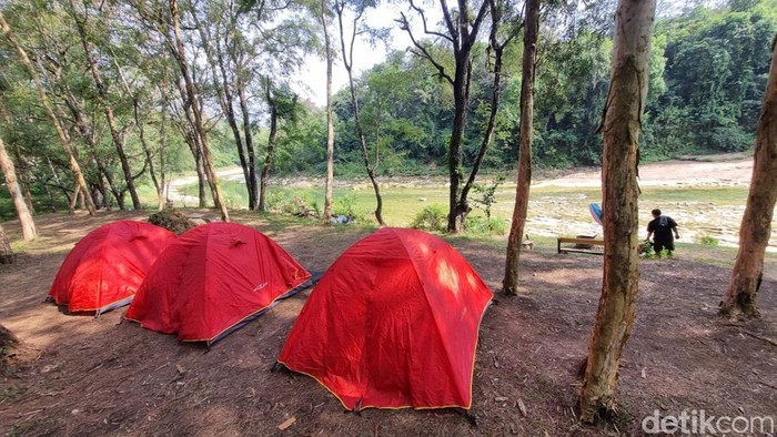 Tahura Bunder menyuguhkan rute tracking dengan panorama Watu Sipat, Sungai Oya, dan juga penangkaran rusa. Di sini juga menyediakan kamping dengan harga terjangkau. 

Foto diambil Selasa (2/6/2026).