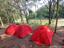 Piknik Seru di Tahura Bunder Gunungkidul, Bisa Tracking Sambil Lihat Rusa