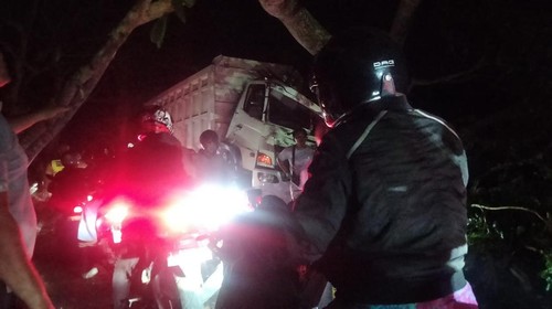 Truk tabrak pohon hingga tumbang di Jalur Amlapura-Denpasar sebabkam kemacetan, Rabu (3/6/2026) malam (foto: Dok. Polsek Manggis)
