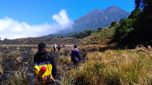 Upaya pemadaman di Savana Propok, Lombok Timur, NTB oleh tim gabungan, Rabu (3/6/2026) foto (Dok. TNGR).