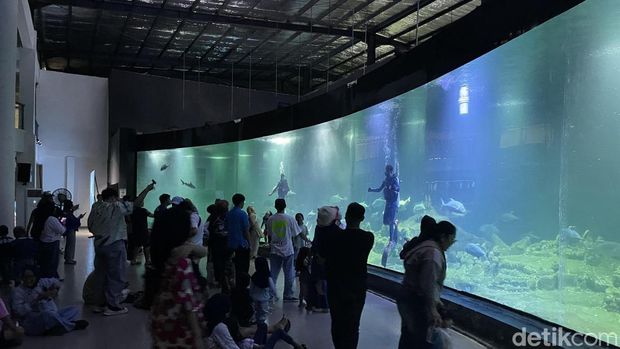 Wisata edukasi di Akuarium Indonesia Pangandaran.