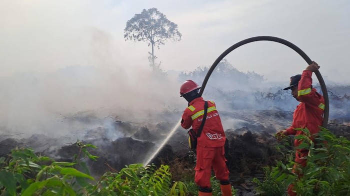 Lahan terbakar dan petugas dari Manggala Agni saat pemadaman (Dok Manggala Agni)