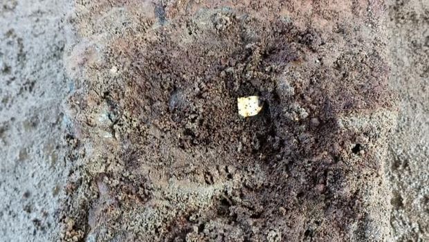 Penemuan keping logam diduga emas di pondasi Candi Losari di Dusun Losari, Desa Salam, Kecamatan Salam, Kabupaten Magelang, Selasa (21/4/2026).